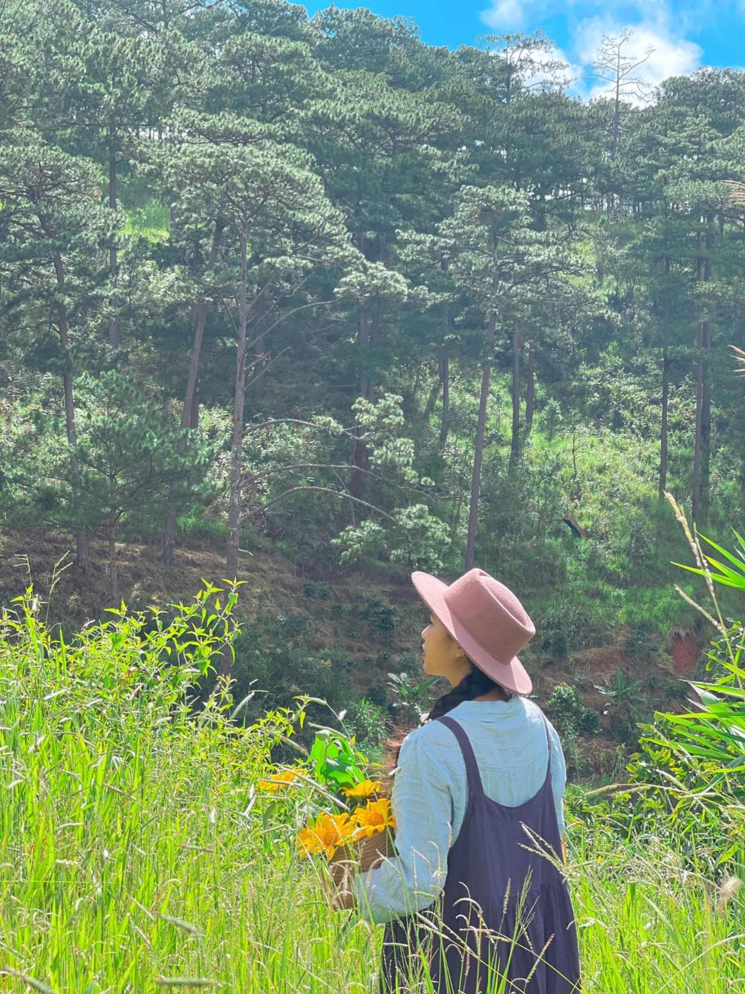 Dalat Memories Homestay - Pho Suong Mo Да Лат Екстериор снимка