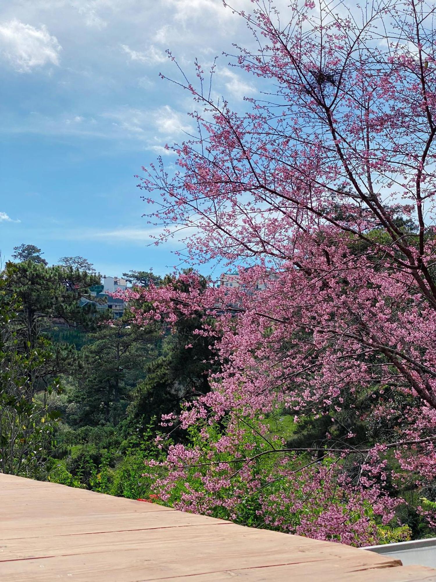 Dalat Memories Homestay - Pho Suong Mo Да Лат Екстериор снимка