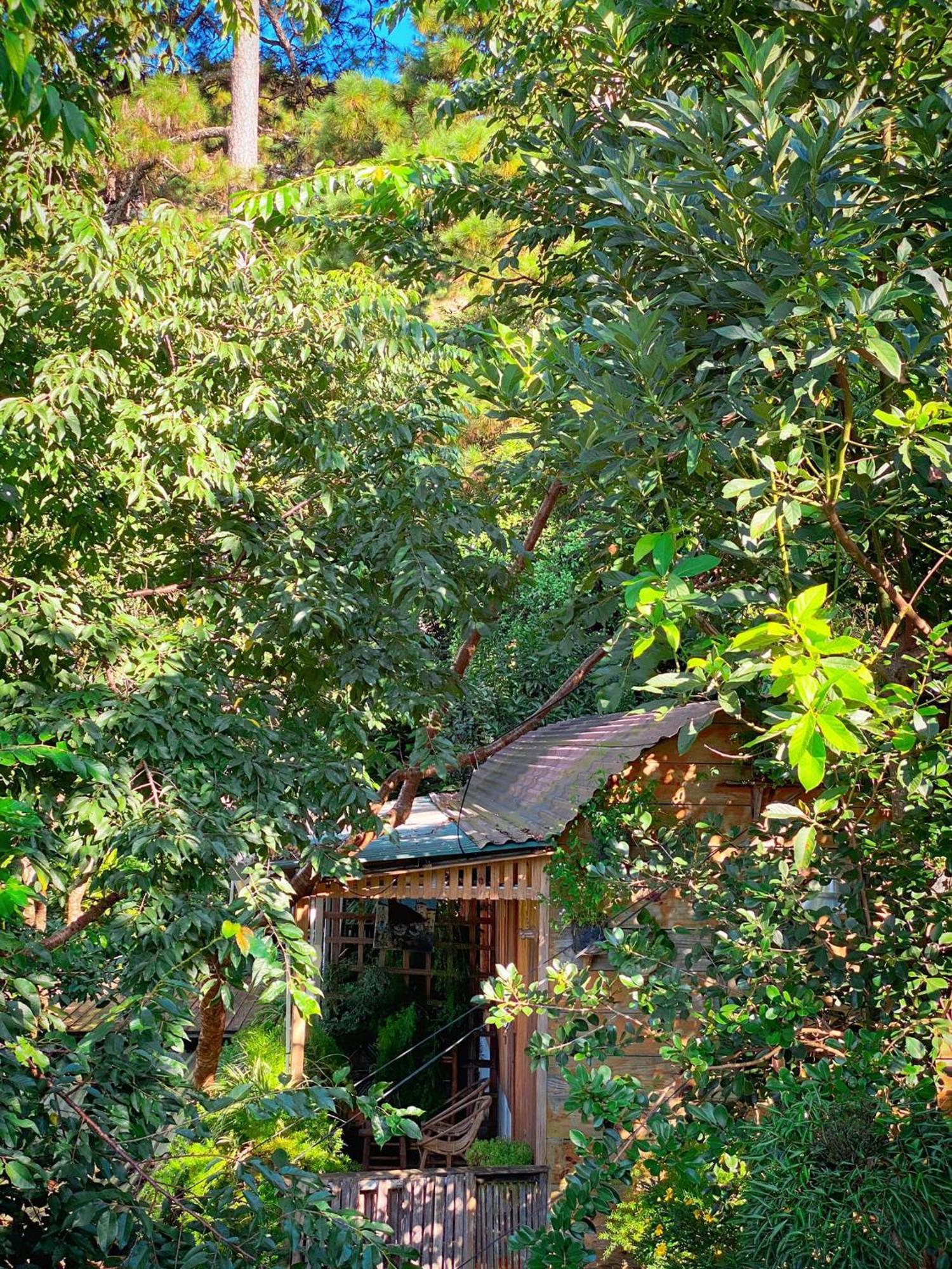 Dalat Memories Homestay - Pho Suong Mo Да Лат Екстериор снимка