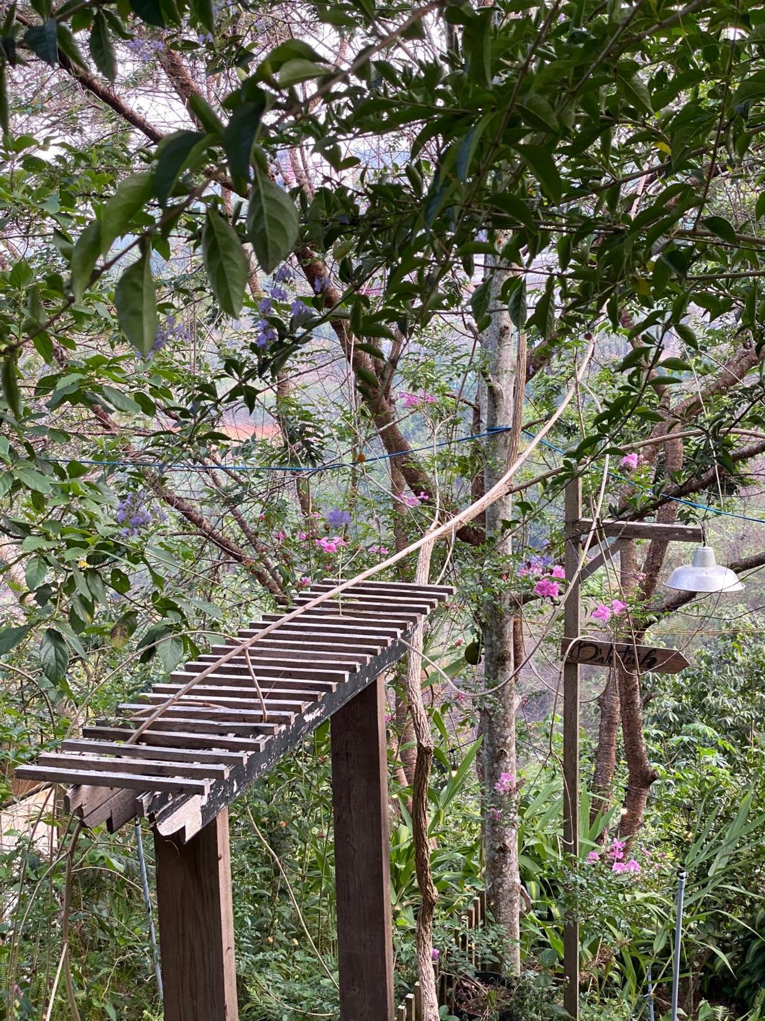 Dalat Memories Homestay - Pho Suong Mo Да Лат Екстериор снимка