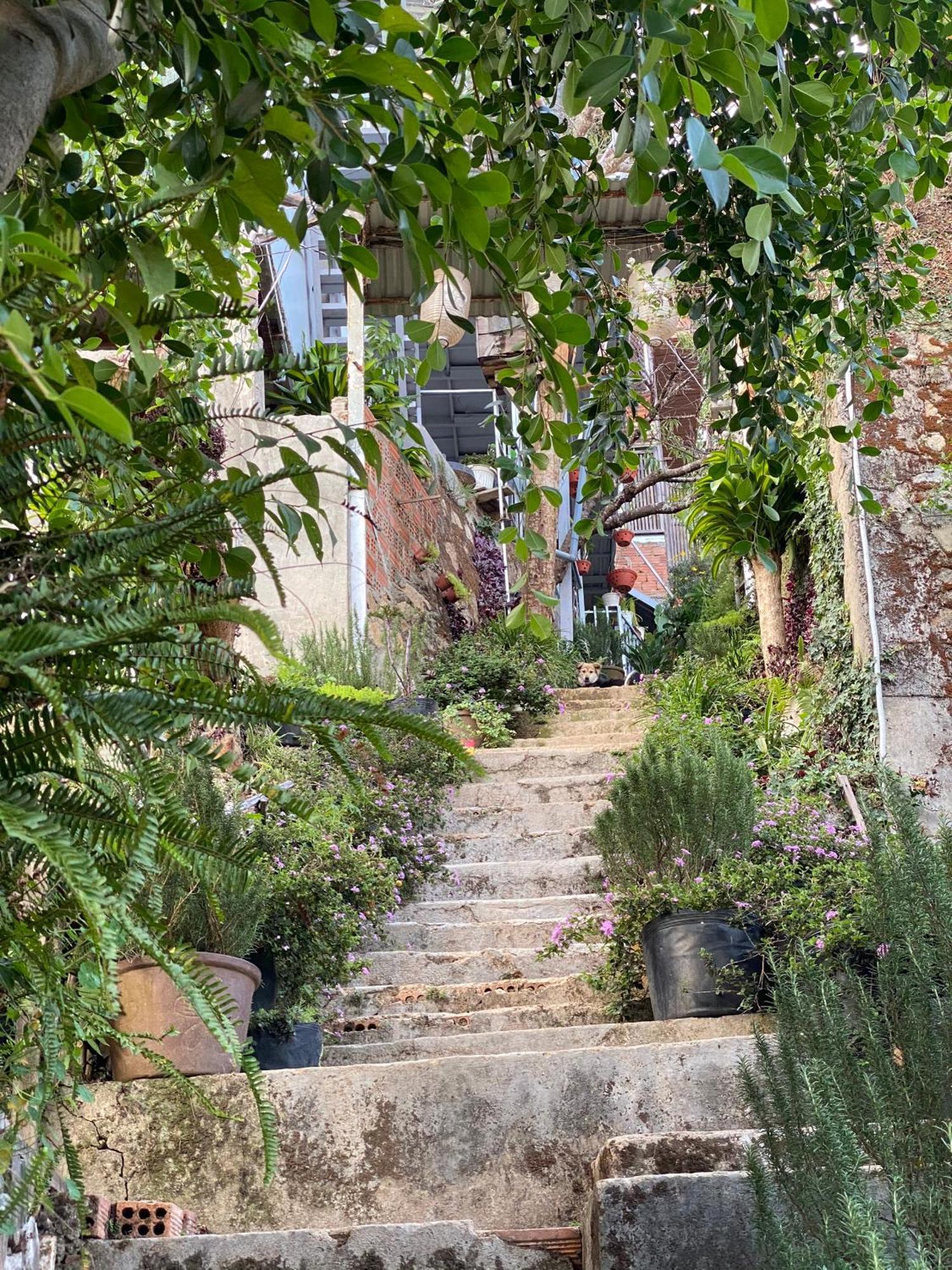 Dalat Memories Homestay - Pho Suong Mo Да Лат Екстериор снимка