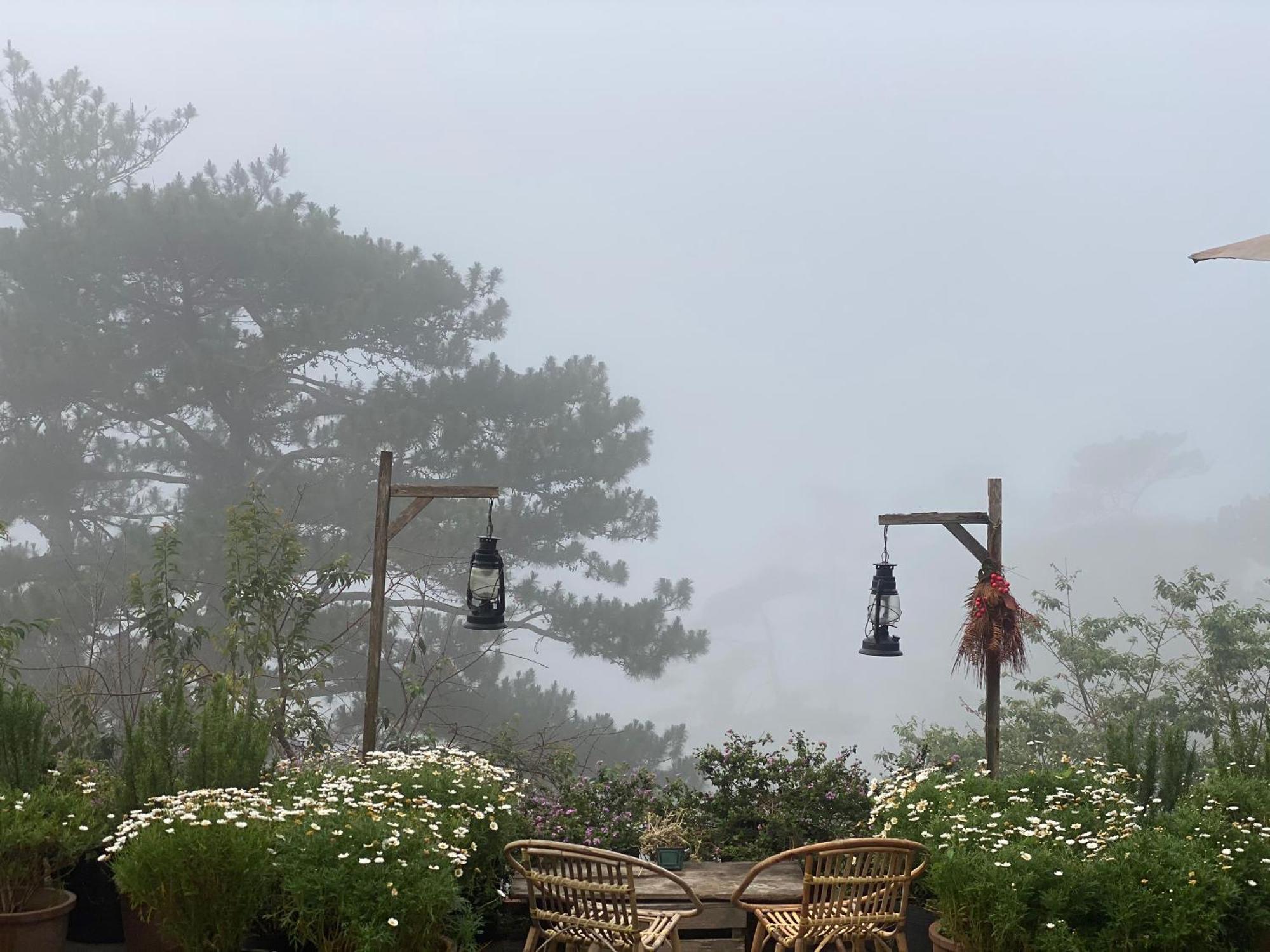 Dalat Memories Homestay - Pho Suong Mo Да Лат Екстериор снимка