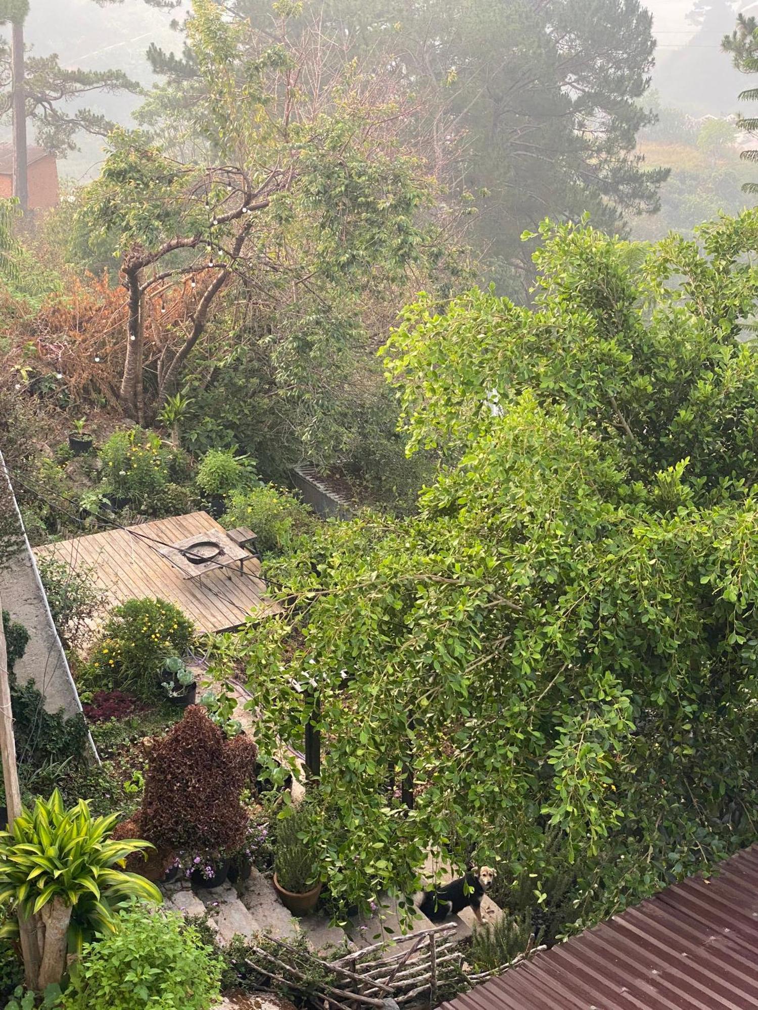 Dalat Memories Homestay - Pho Suong Mo Да Лат Екстериор снимка