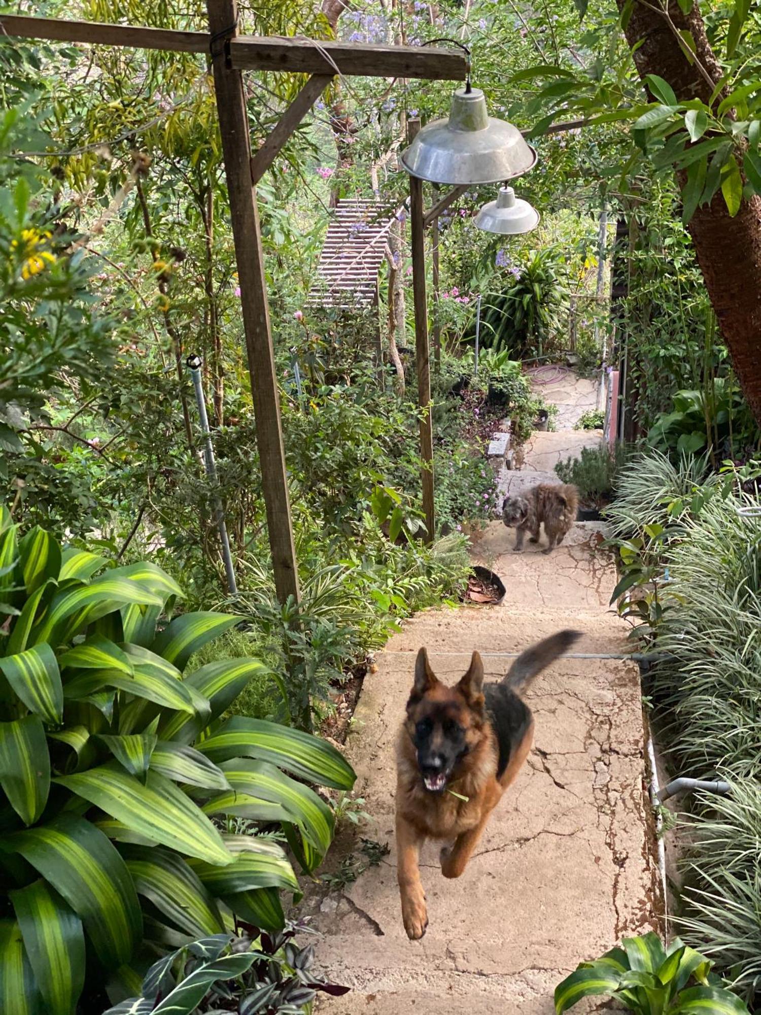 Dalat Memories Homestay - Pho Suong Mo Да Лат Екстериор снимка