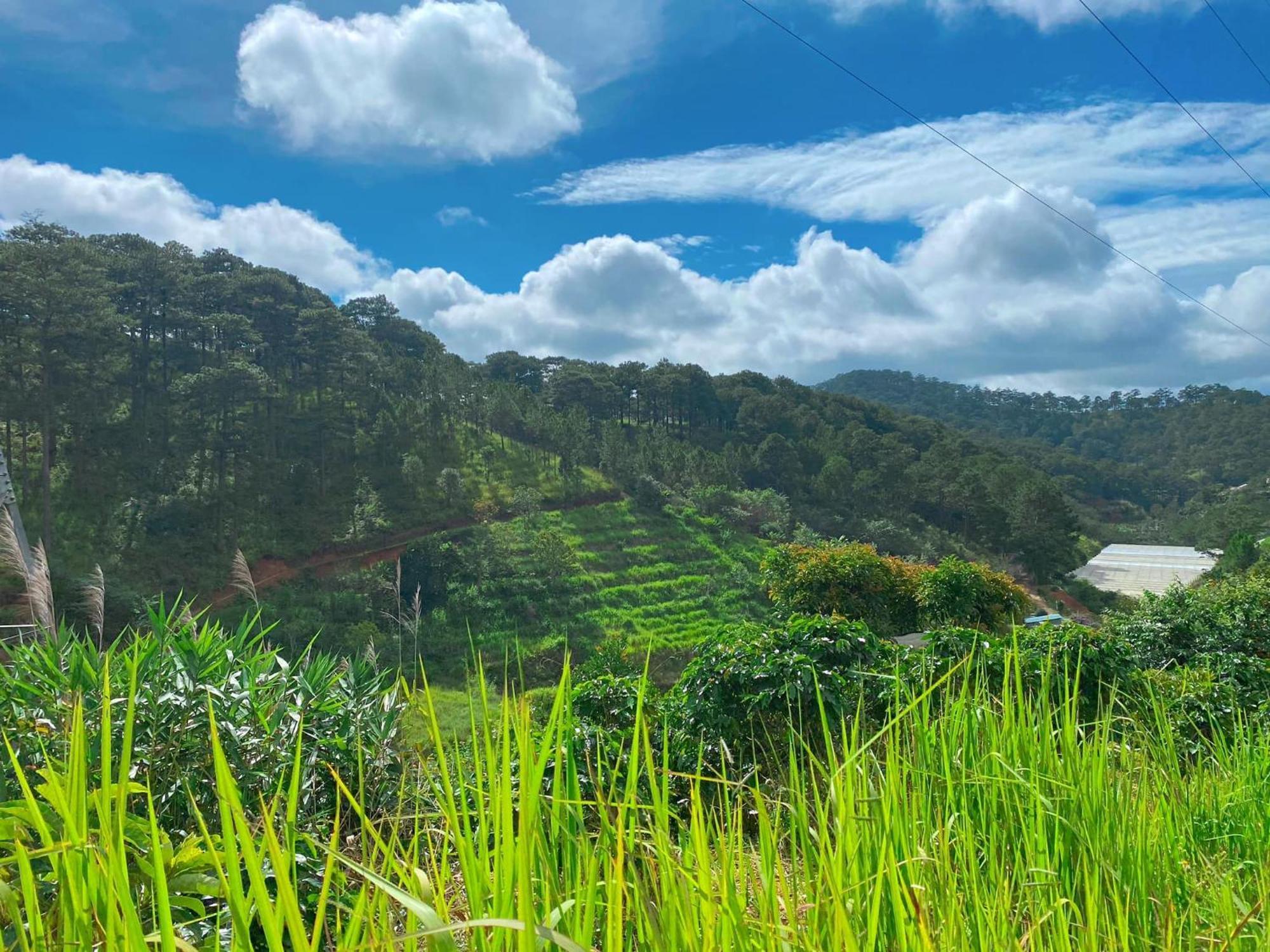 Dalat Memories Homestay - Pho Suong Mo Да Лат Екстериор снимка